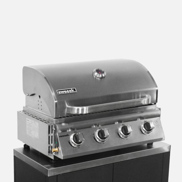 Barbecue a gas a 4 bruciatori, Argento