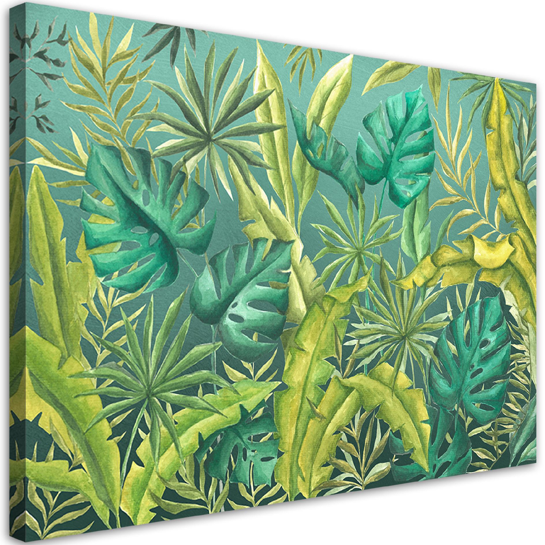Obraz na płótnie, Liście Monstera 60x40