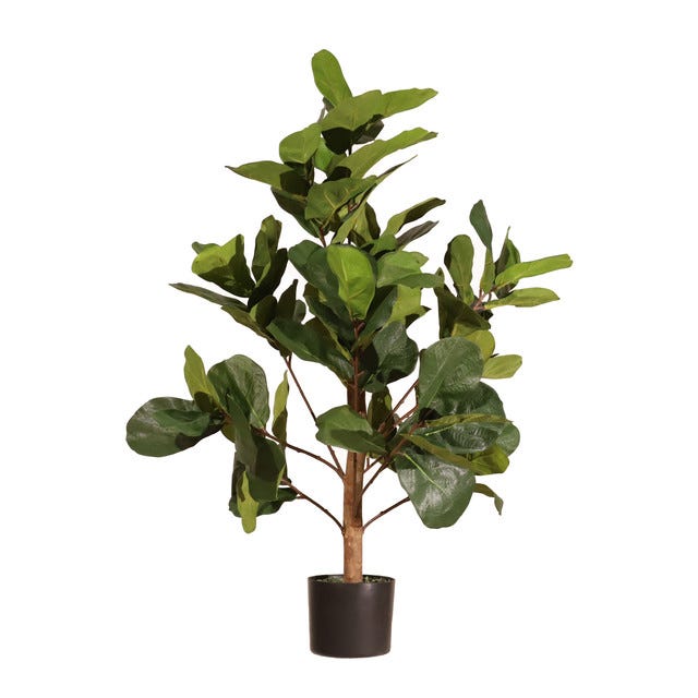momoplant Pianta artificiale di Croton, 99,1 cm, albero di fico artificiale per la decorazione domestica, albero di ficus lyrata con vaso di plastica, piante di seta per la decorazione della casa e momoplant Pianta artificiale di Croton, 99,1 cm, albero di fico artificiale per la decorazione domestica, albero di ficus lyrata con vaso di plastica, piante di seta per la decorazione della casa e