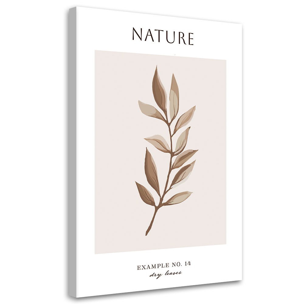 Obraz na płótnie, Suche liście - Natura 40x60