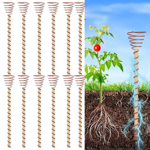 Pack de 12 tuteurs pour plantes d'électroculture, antenne bobine de cuivre d'électroculture pour plantation, 30 cm