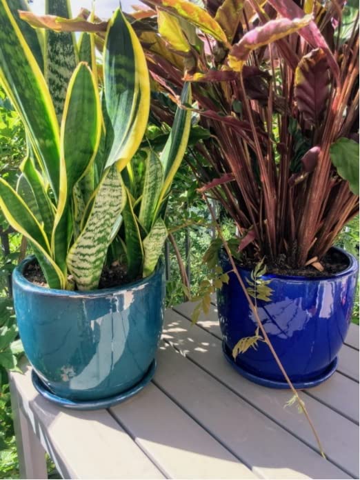 Pot de Fleurs de Jardin, Diamètre : 31 cm, en Céramique Émaillée, Turquoise, Avec Bac d'Égouttement - KOTARBAU - 3