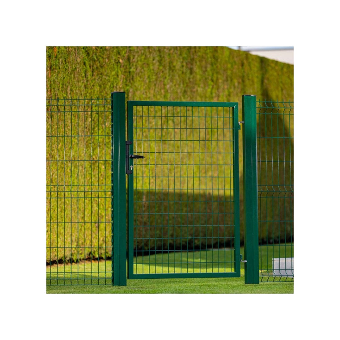Portillon grillagé en acier galvanisé maille 100 x 50 L 1m x H 1m50 Vert - 8