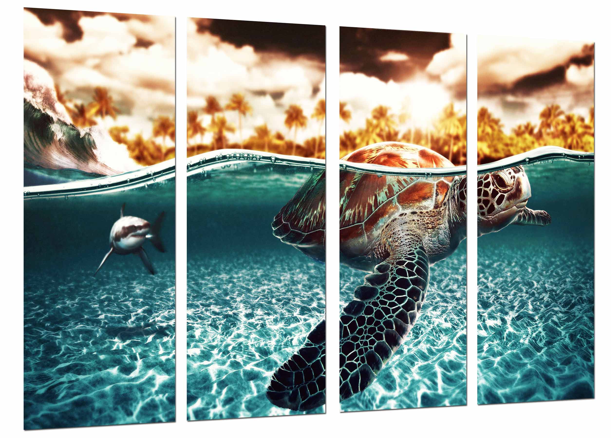 Animal tortuga y tiburon en el mar, oceano, impresión fotográfica sobre madera, cuadro moderno decorativo