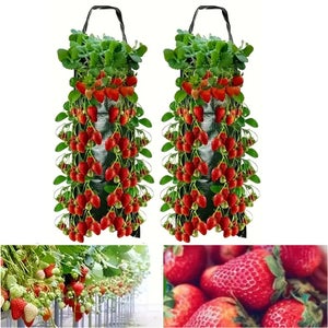 4 Fioriere Capovolte Per Fragole E Pomodori – Sacchetti Tessuto 3 Galloni, Con 6 Fori E Ganci, Da Appendere, Kit Giardinaggio