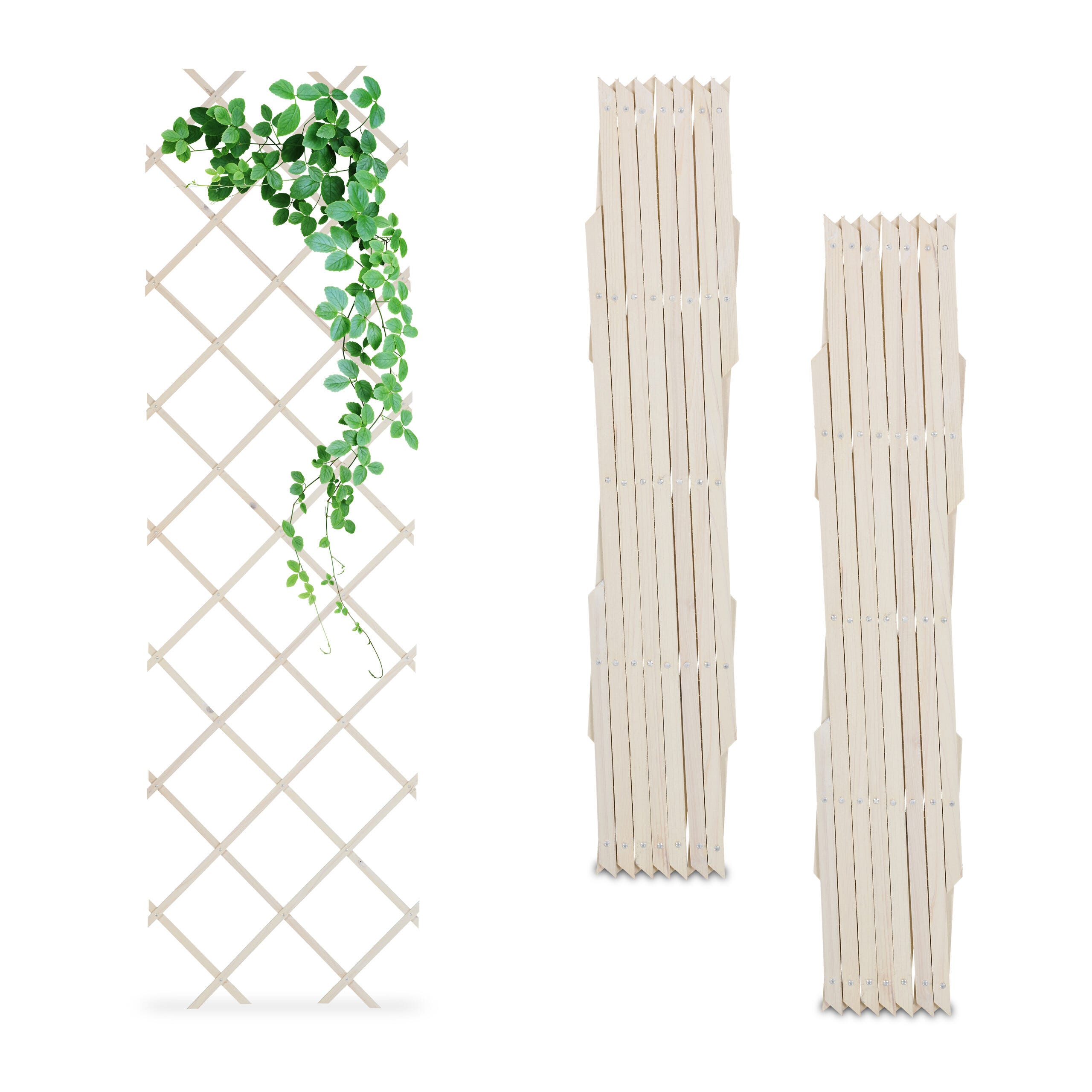 Set da 4 supporti circolari per rampicanti 60 cm 5 kg Verde Tutori per pomodori Set da 4 supporti circolari per rampicanti 60 cm 5 kg Verde Tutori per pomodori