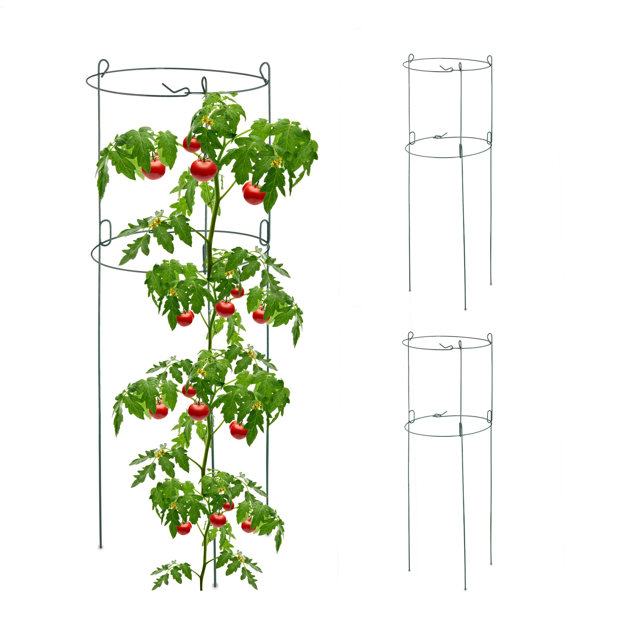 Set De 3 Jaulas Para Tomates - Soporte Para Plantas Trepadoras, Acero Galvanizado, 76 Cm De Alto