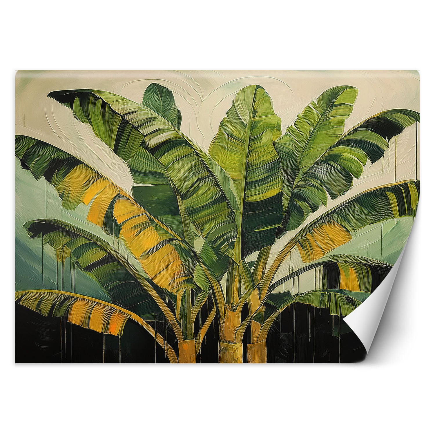 Fototapeta, Liście Bananowca Natura 300x210