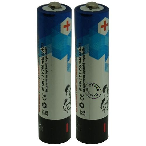 Pack De 2 Batteries Téléphone Fixe Pour GRUNDIG SIXTY EVERYWHERE – Noir, 750 MAh (NiMH)
