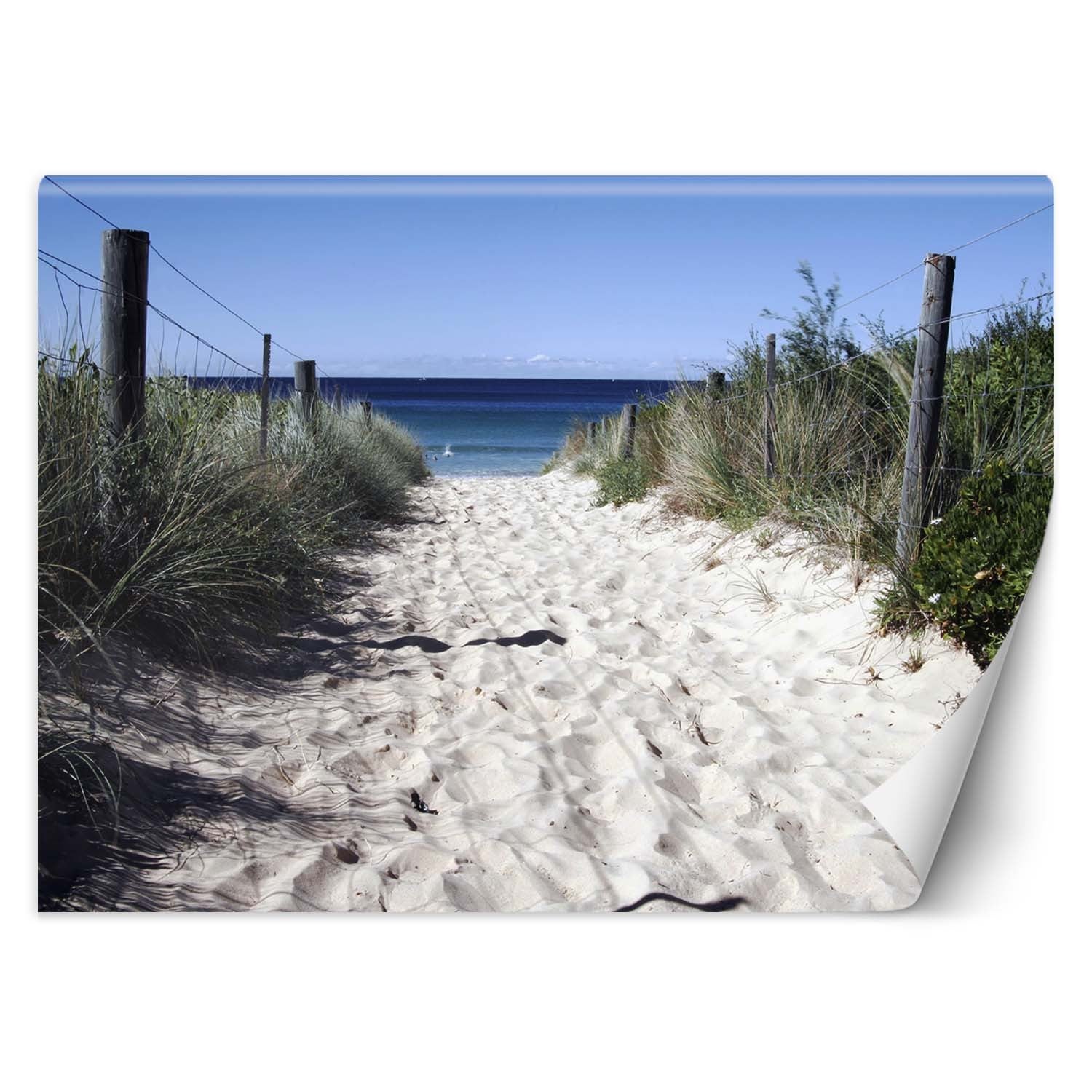 Fototapeta, Droga na plażę wydmy piasek 200x140