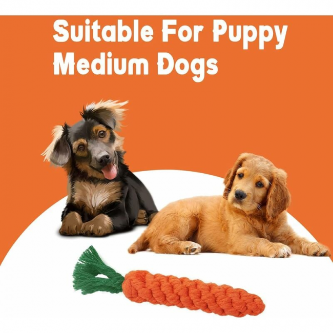 piezas de juguetes para masticar perros con zanahoria, juguete - Main Image