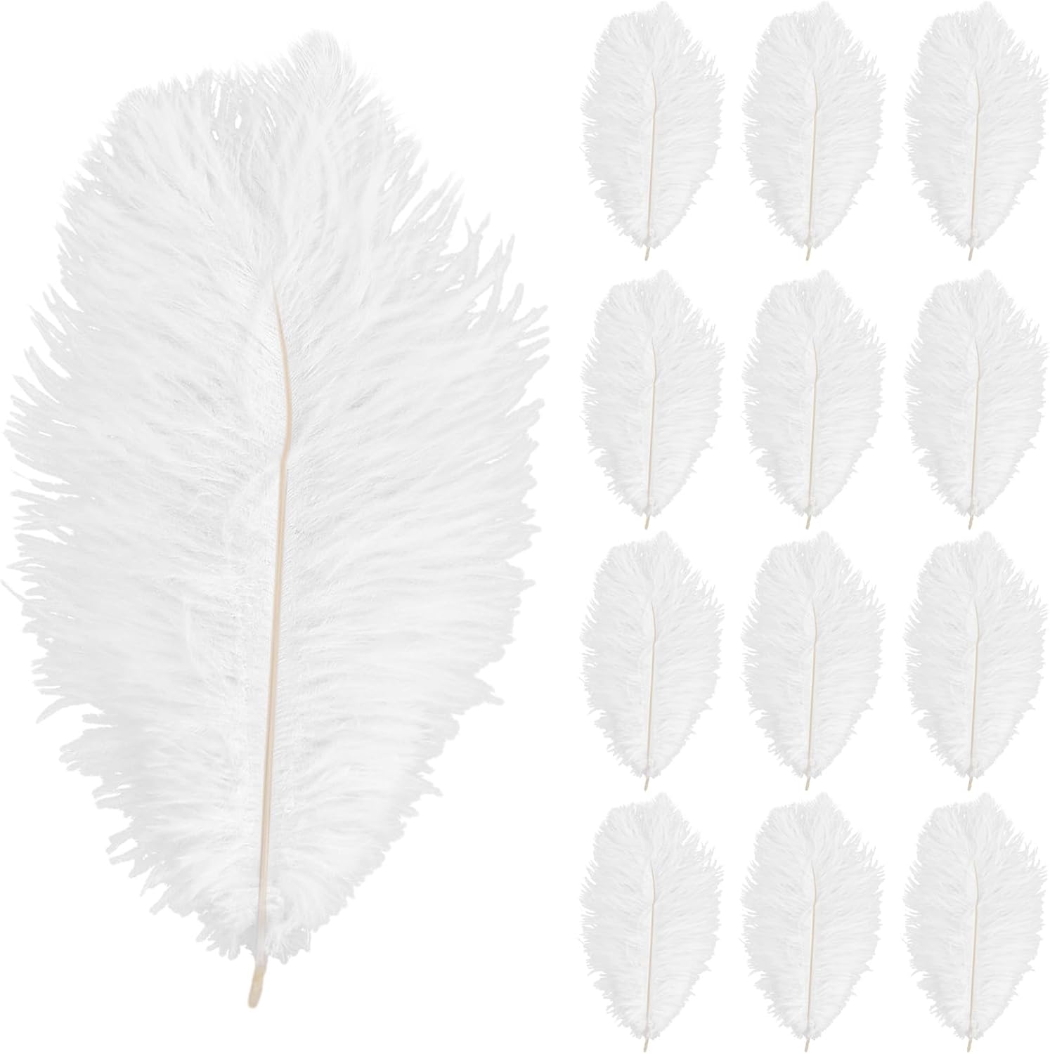 Plumes d'autruche blanches, toutes tailles, 15 70CM 6 28 pouces, 10 Plumes d'autruche blanches, toutes tailles, 15 70CM 6 28 pouces, 10