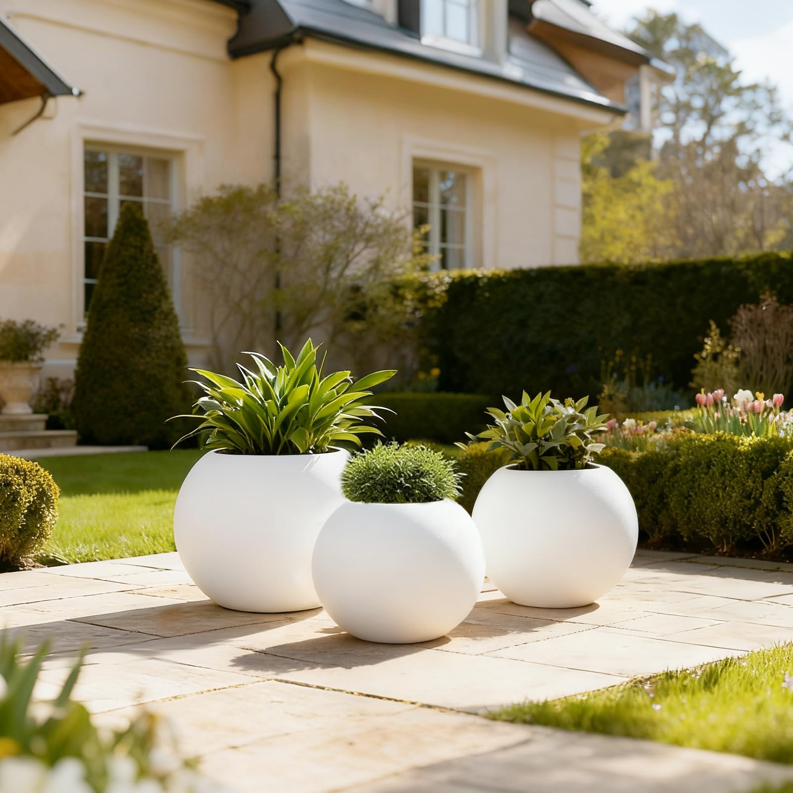 LOLLANDA Pot de fleurs rond,pot de plante artificiel,décoration pour plante d'intérieur en pot,finition mate,ne convient pas à la plantation(30*24cm) - 4
