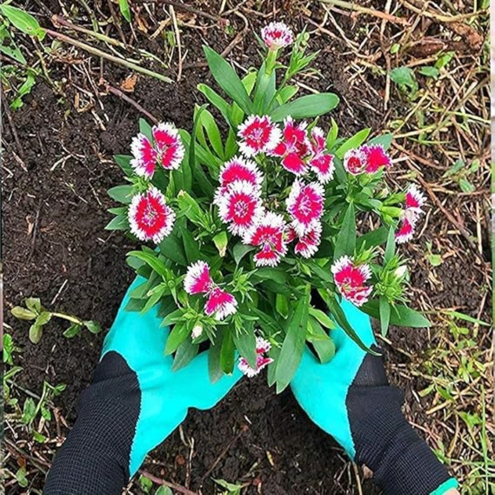 2 paires de gants de jardinage pour la plantation, gants de jardinage griffes pour femme - 6