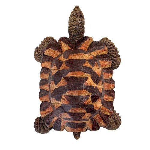 Tortue terrestre verte - 2