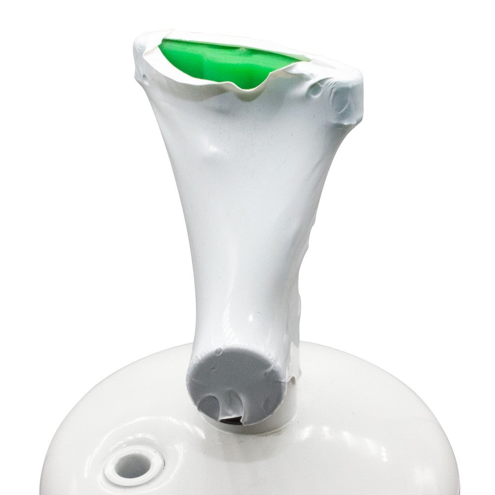 Lot de 2 bouteilles de gaz réfrigérant RALERFRESH RS avec manomètre, flexibles, clé et adaptateur - 3