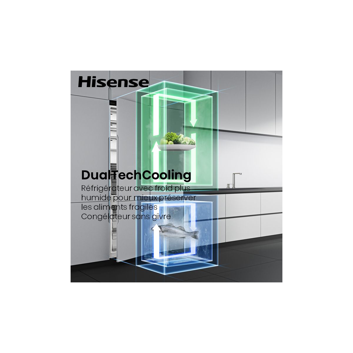 Réfrigérateur combiné encastrable HISENSE RB3B250SAWC - 8
