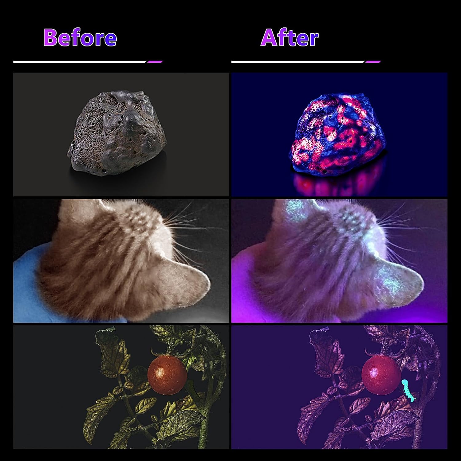 Lampe Torche UV 365nm - Rechargeable 30W LED, Idéale pour Détection d'Urine, Durcissement de Résine, Scène et Événements - 3