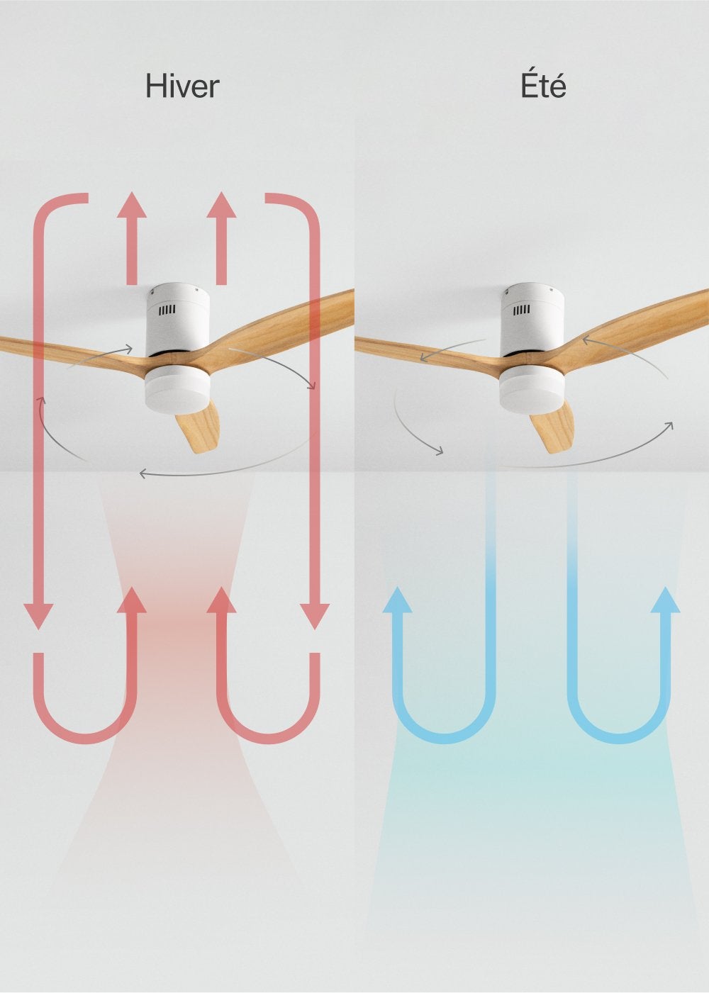 WIND CALM NATURAL WOOD M - Ventoinha de teto 40W silencioso 100% madeira - Com luz - com wifi - 4