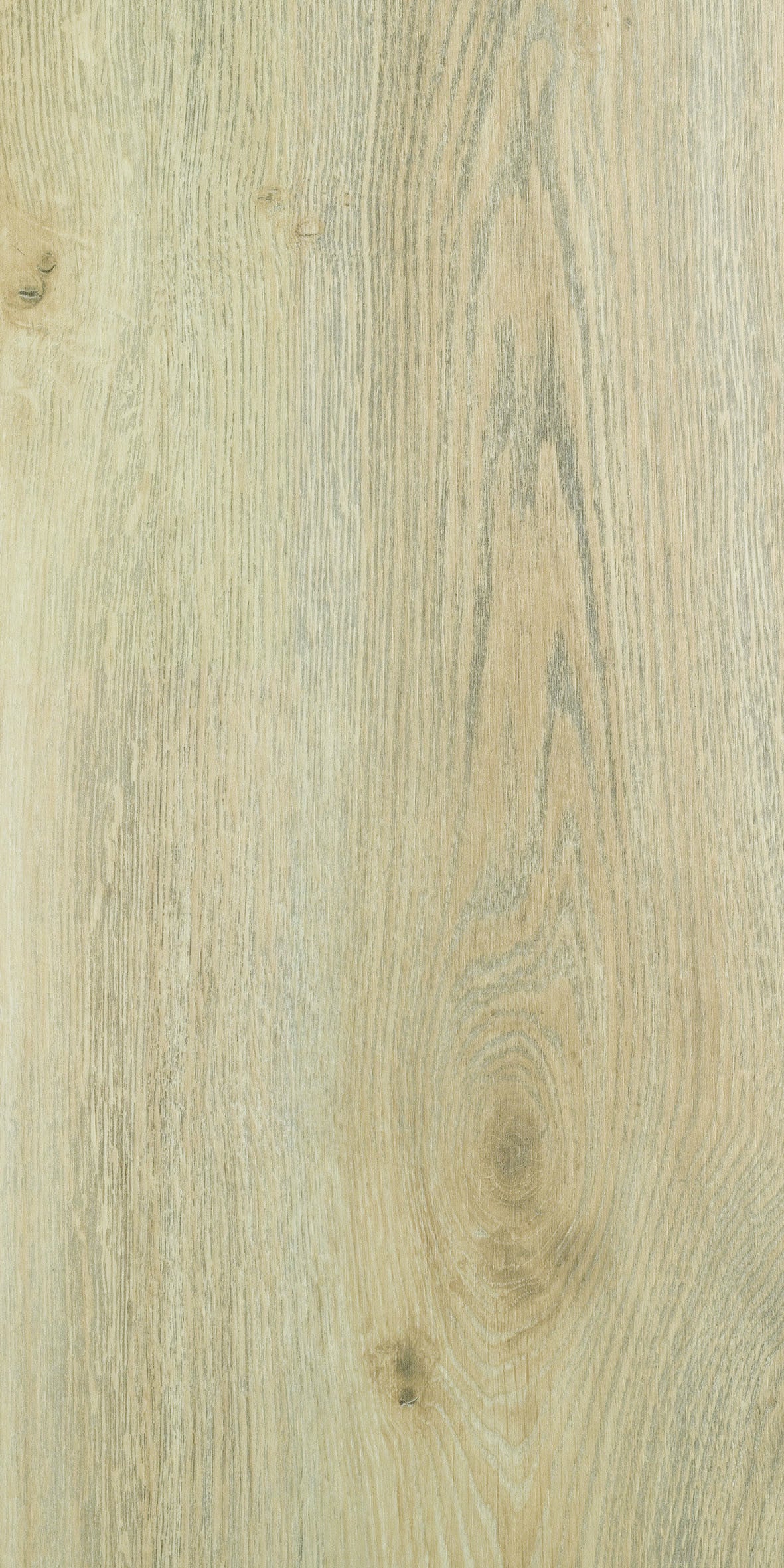 Parquet stratifié 8 mm ARISTOTE - OSMOZE - 2