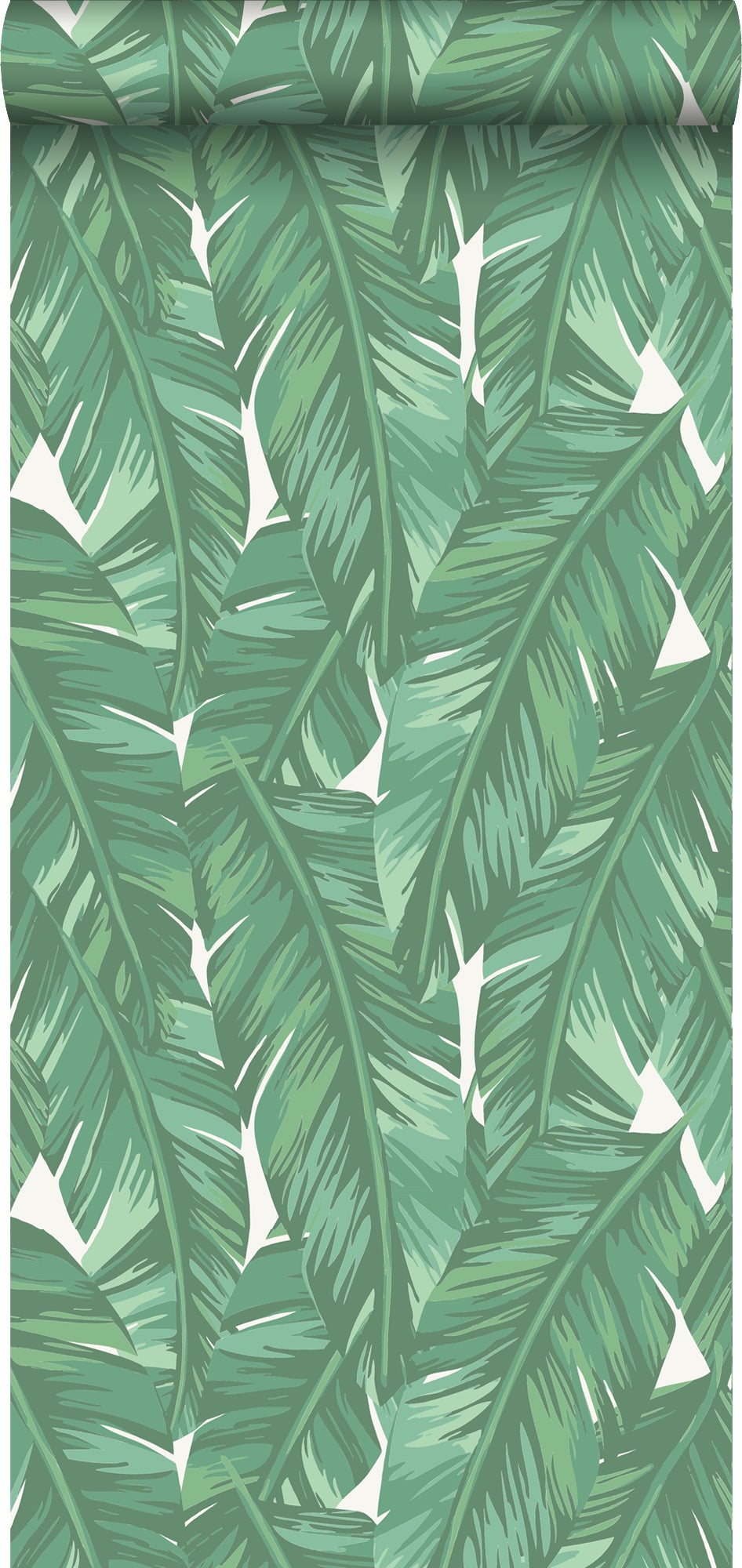 Papel pintado hojas de banano jade verde - 0,53 x 10,05 m - estahome