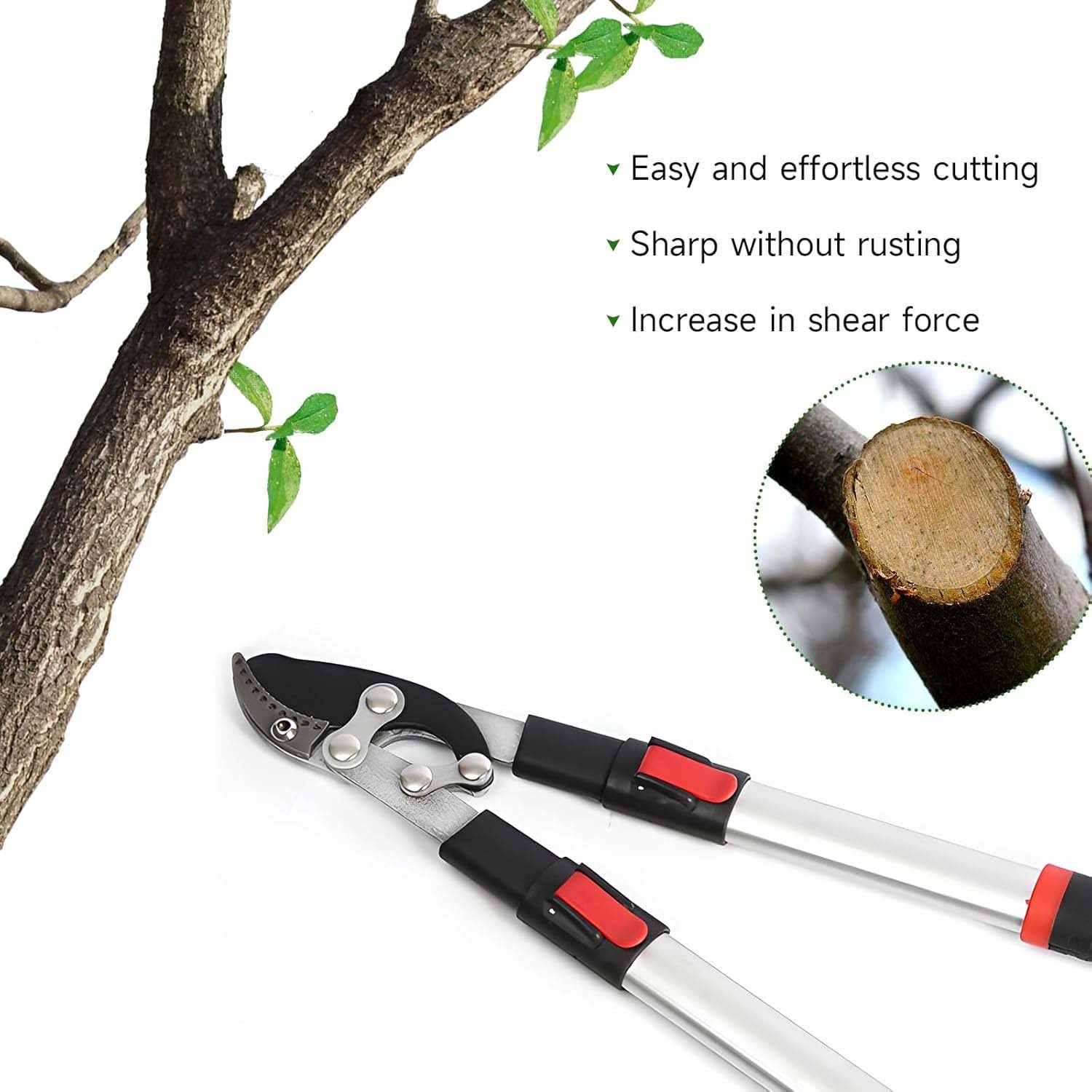 1PC Tesoura de poda profissional tipo bigorna, cortador de galhos pesado, lopper composto premium com cabo telescópico, lâmina SK5, jardim - 5