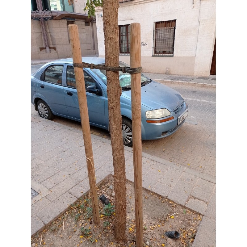 Lot de 20 Tuteur en bois 200 cm Ø 5 cm | Tuteurs avec Pointe | Poteaux en Bois | Piquets de Fixation | Piquets de Jardin - 8