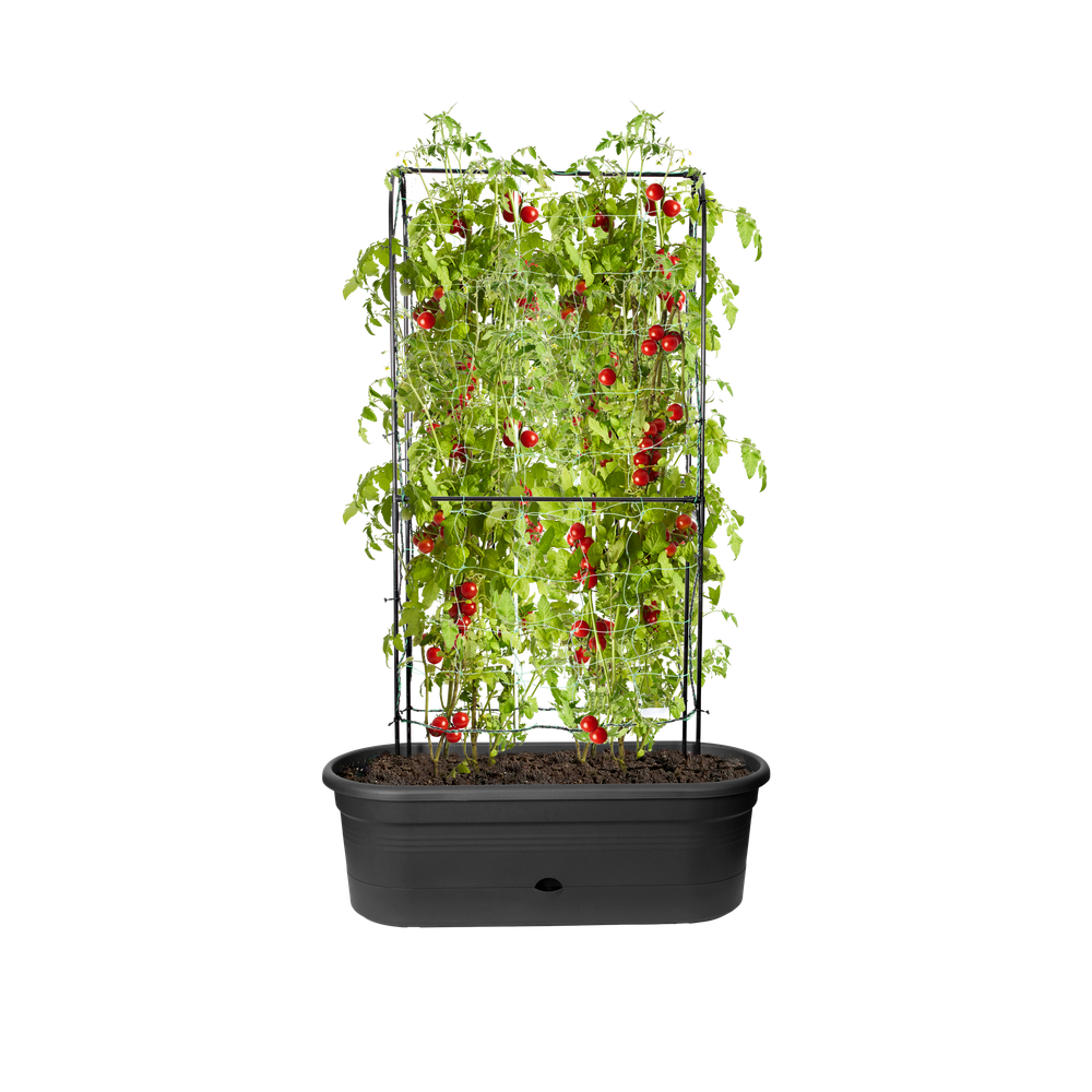 Elho Green Basics Veggie Wall 80 Living Black Fioriera Ovale - 2