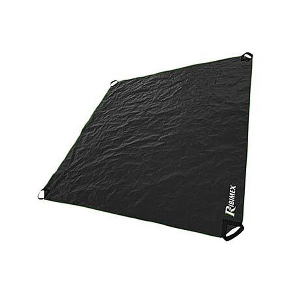Ribimex RIBIMX - PRSACPL2 - Telone per Raccolta Fogliame - 2m x 2m - 4