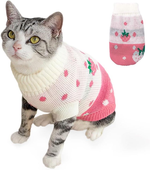 Camisola de malha para gato, roupa sem pelos, colete fofo e quente para animais de estimação (G)