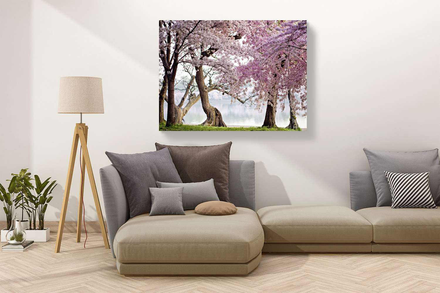 Peinture, impression sur toile - Cerisiers en fleurs, Washington, USA - 100x70 cm - 3