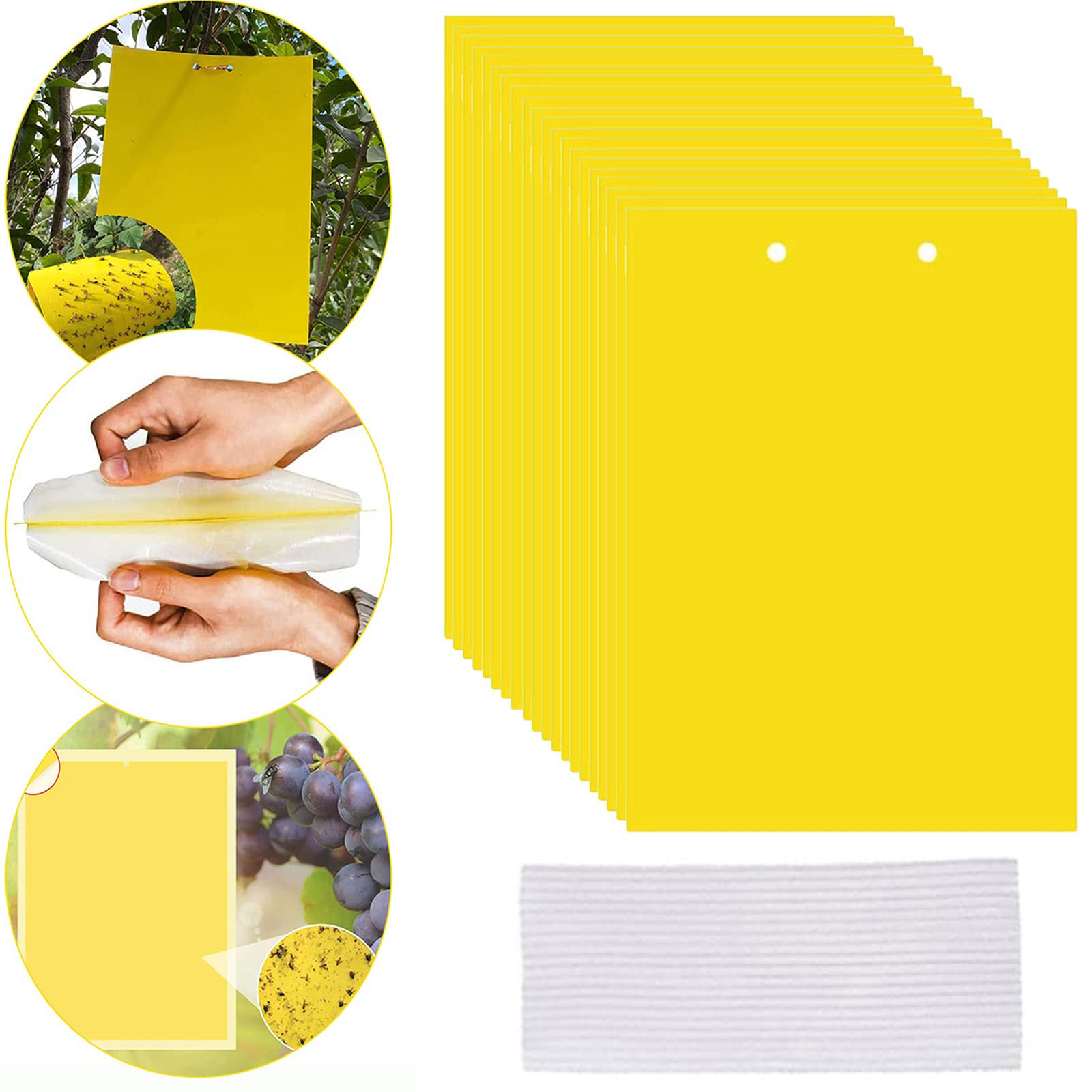 Filet de protection - Blanc - 3 x 10 m - Anti insectes - Anti oiseaux - Durable et flexible