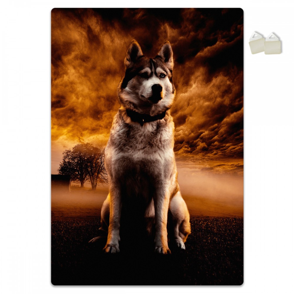 Husky - estructura poster de espuma de pvc forex de 3 mm de espesor - dimensiones 100x70 cm