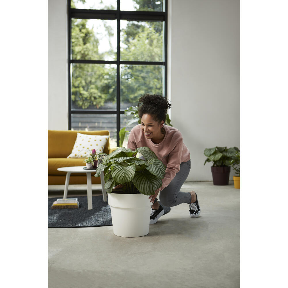 Elho B.for Original Tour 30 Vase rond blanc - 6