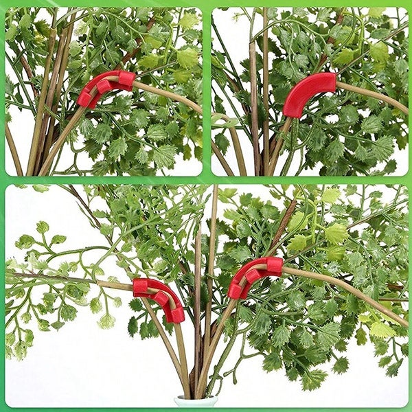 Pinces de pliage de plantes à 90 °, 10 pièces, outil de pliage de plantes, Support de vigne de légumes, Clips de Support de jardin - 5