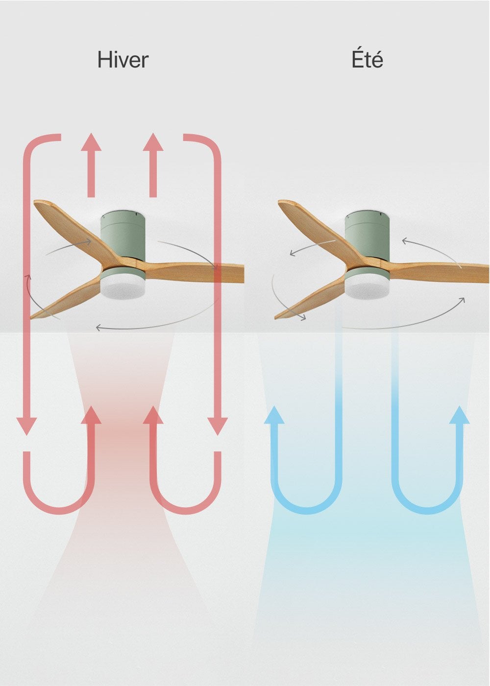 CREATE - WIND CALM M - Ventilateur de plafond silencieux 40W avec pales techniques en ABS Ø132cm avec eclaraige avec wifi - 5