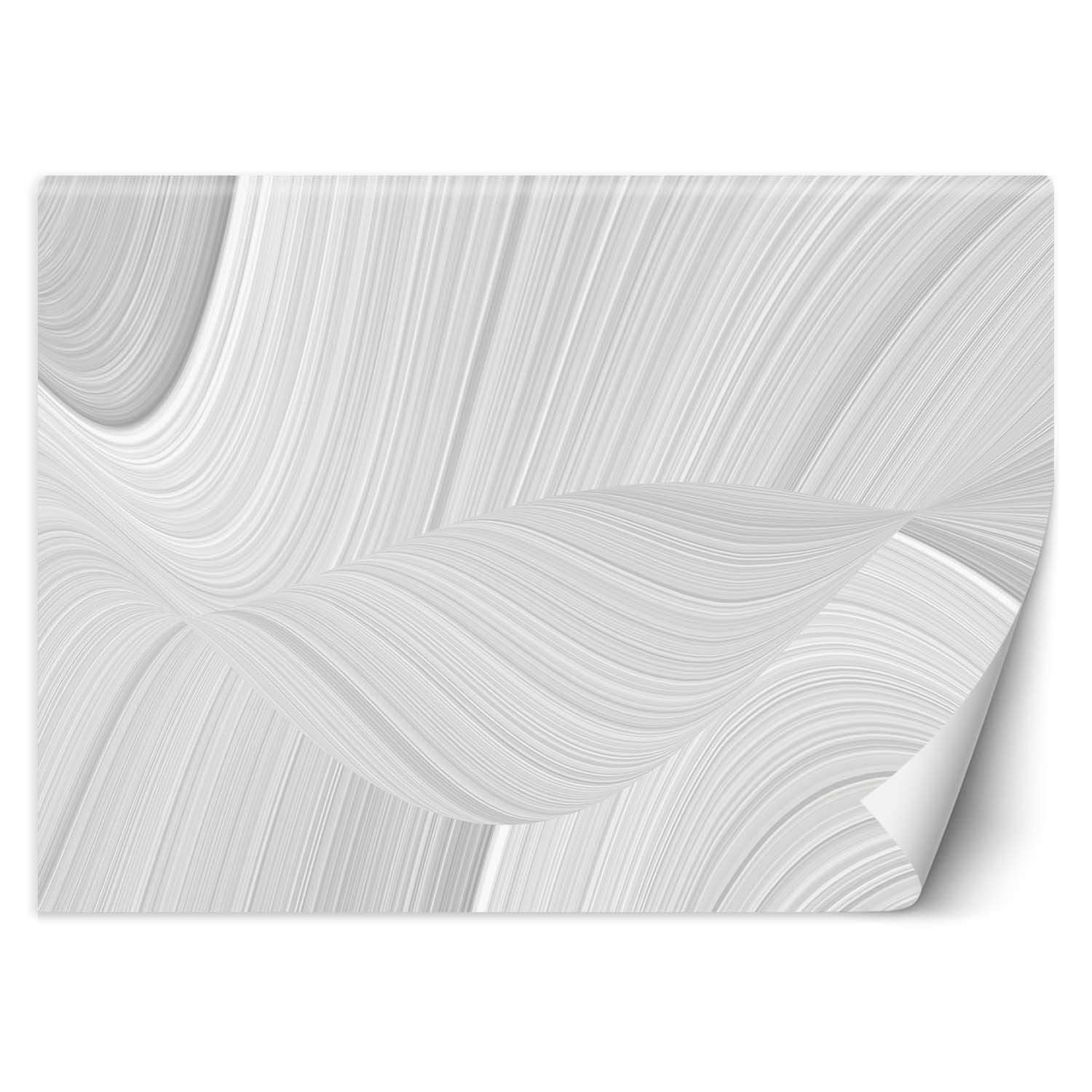 Fototapeta, Rozmazana biała tekstura 3D 350x245