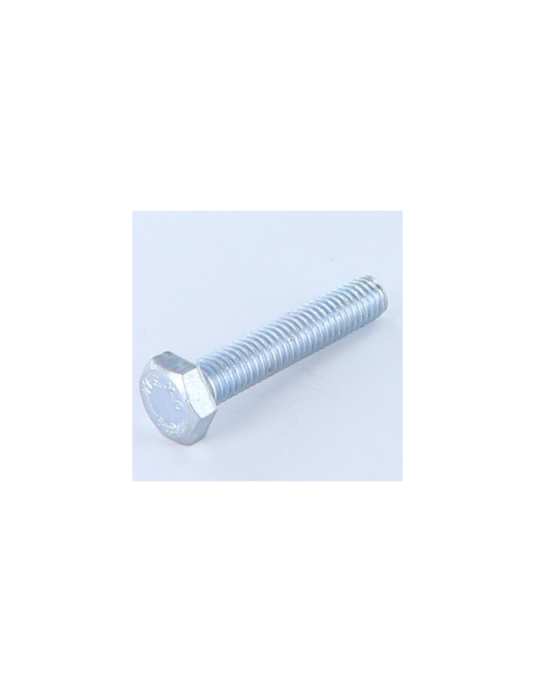 Viti Lamiera Testa Padella Phillips In Acciaio Inox 316 - #10