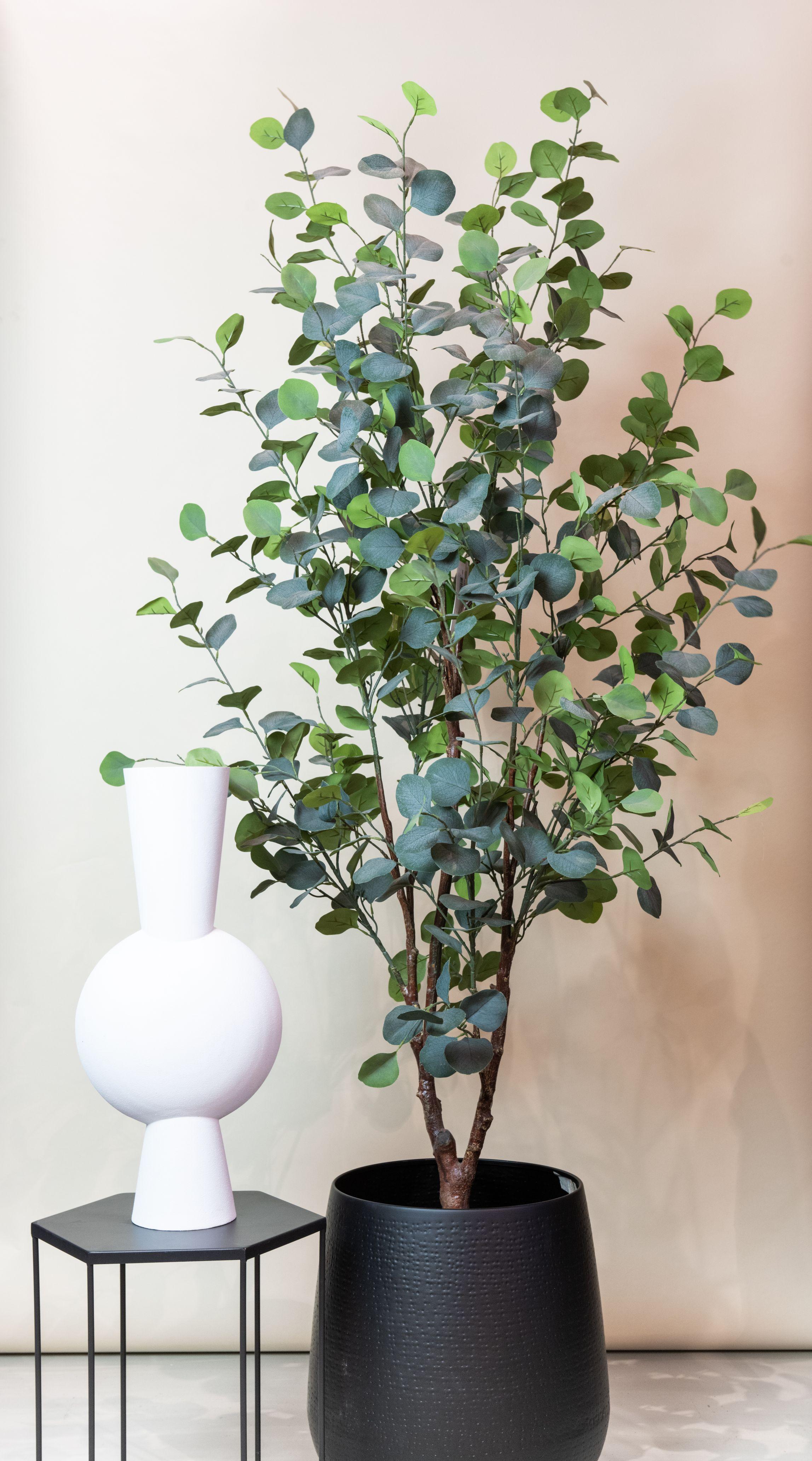Eucalyptus artificiel 180 cm – Blauwe Gomboom élégant pour salon et bureau - 5