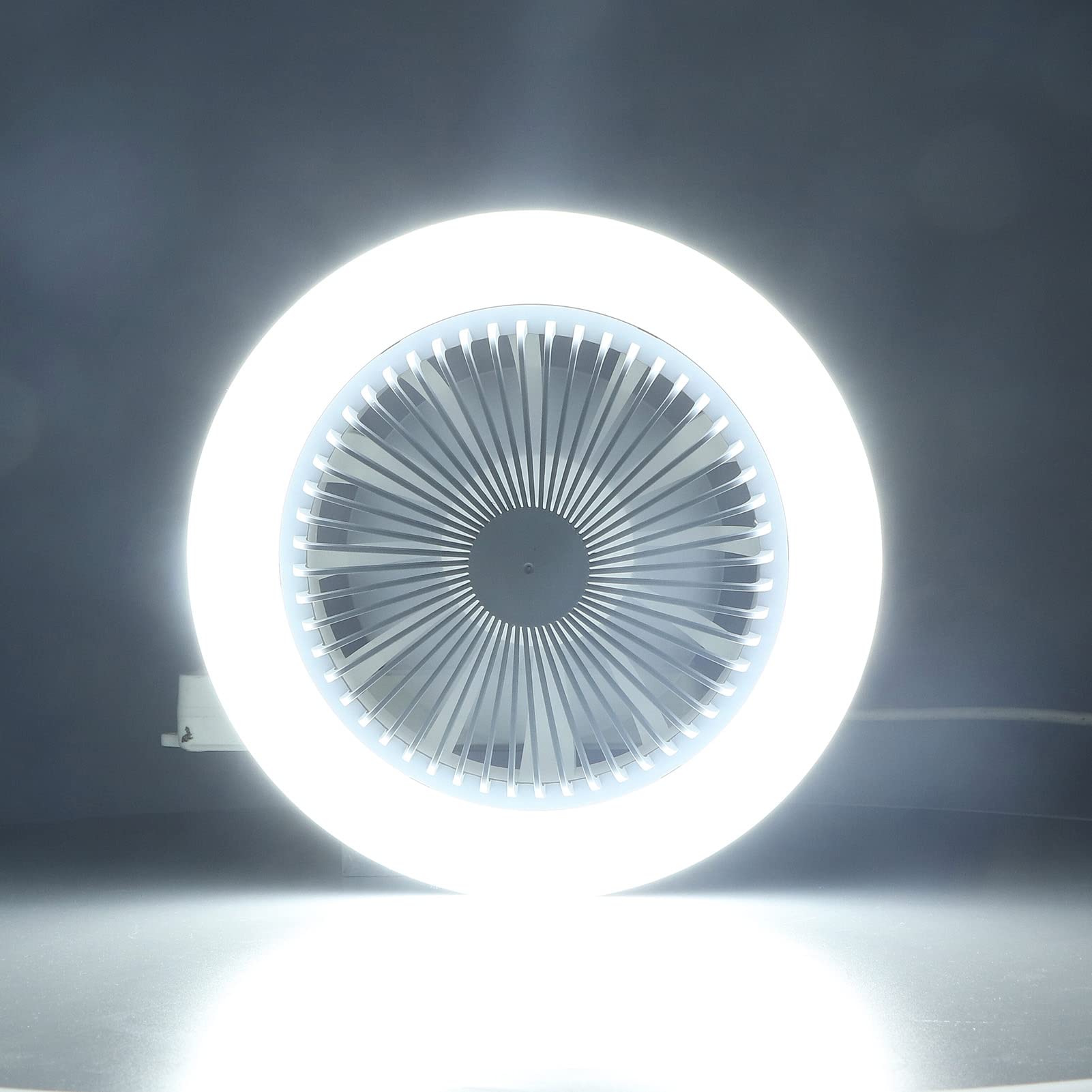 Ventilateur de plafond à douille avec lumières, ventilateur de plafond de 10 pouces avec lumière 2400LM 600 - 4