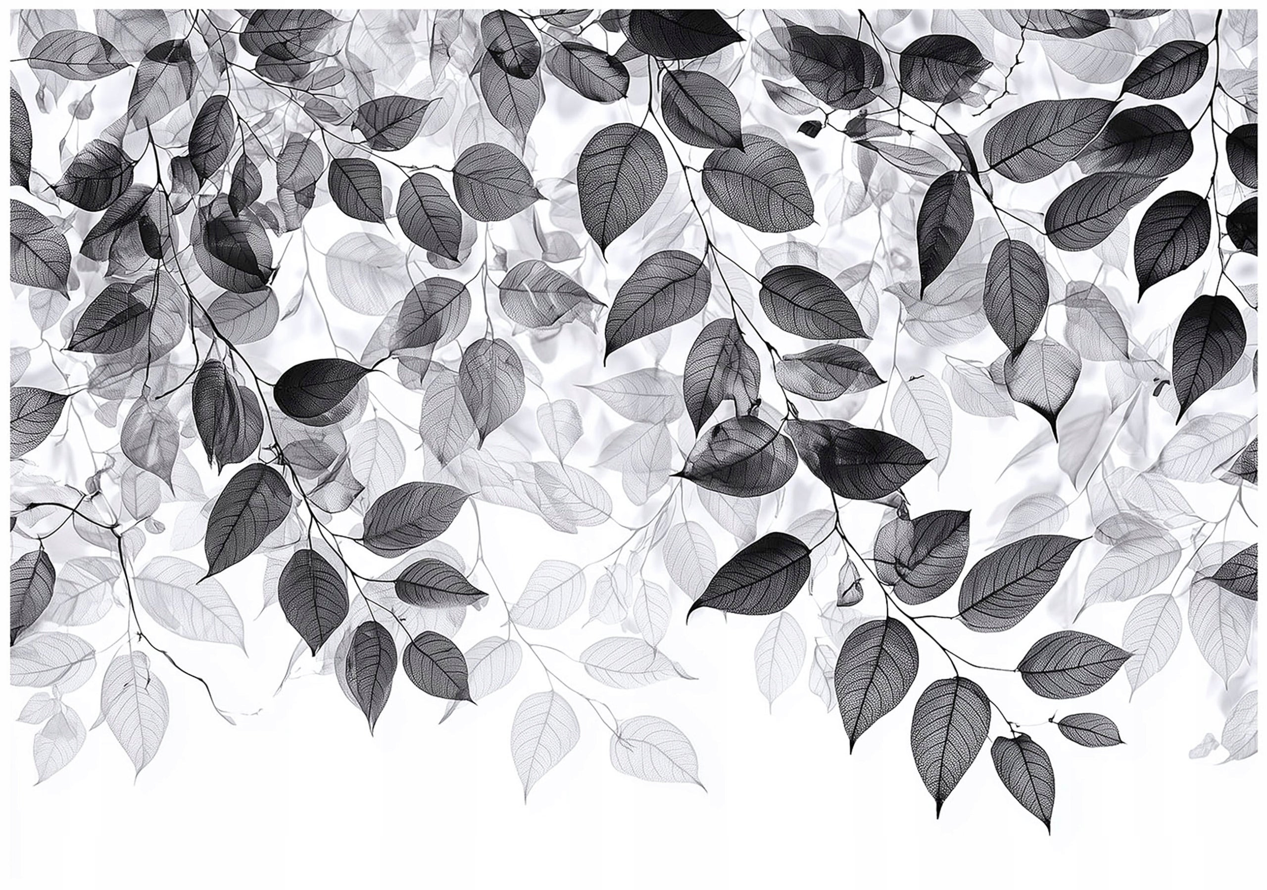 Papier Peint Noir et blanc Feuille Nature Panoramique Intissé Pour