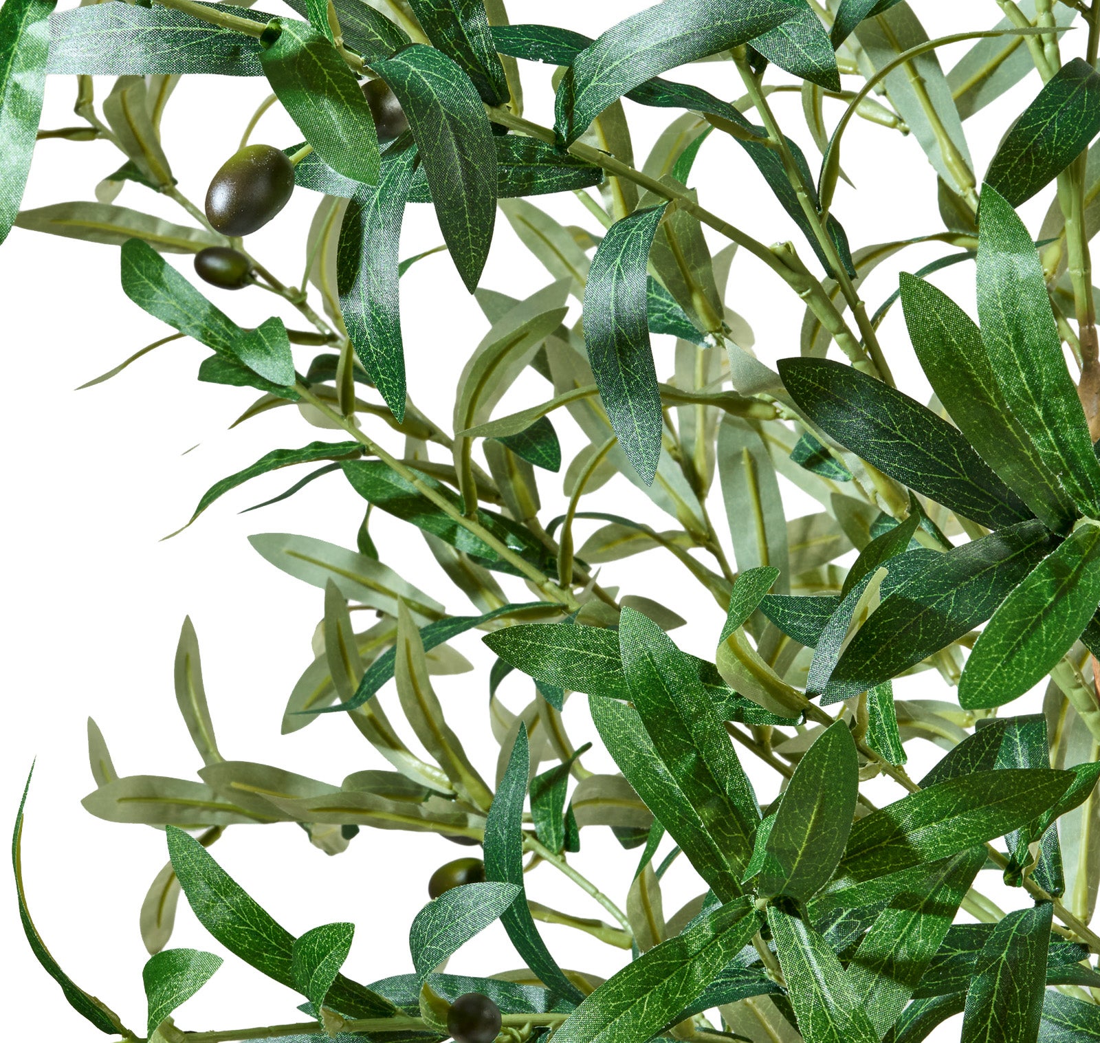 Olivier artificiel 100 cm, Plante décorative avec Feuilles et Olives réalistes pour salon, chambre ou bureau - 5
