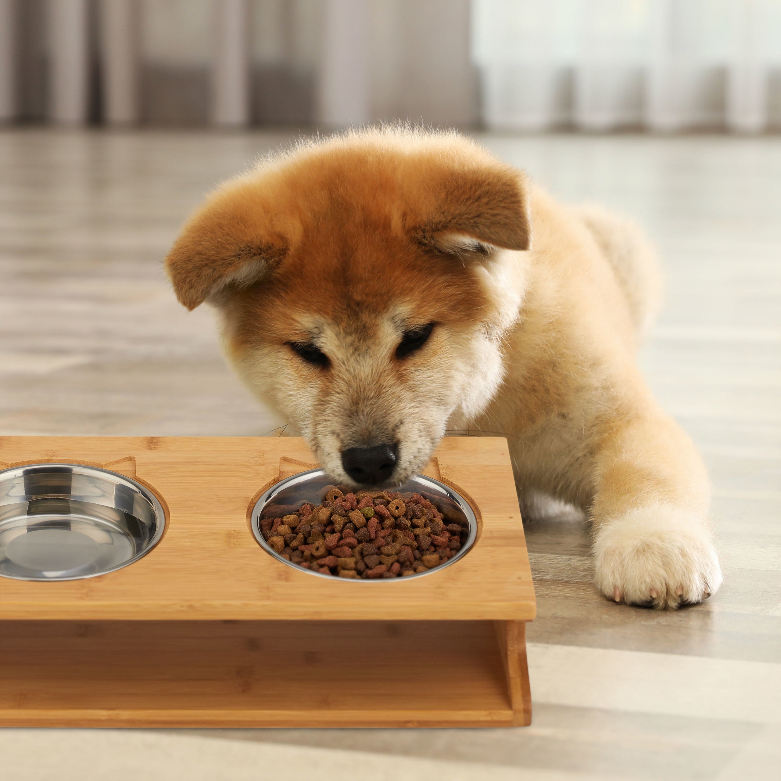 Ciotola Rialzata Doppia Per Gatti E Cani Piccoli - Ceramica, Supporto In Bambù, Lavastoviglie - Foto 5