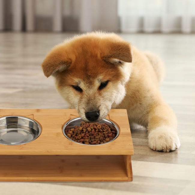 Ciotola Rialzata Doppia Per Gatti E Cani Piccoli - Ceramica, Supporto In Bambù, Lavastoviglie - Foto 5