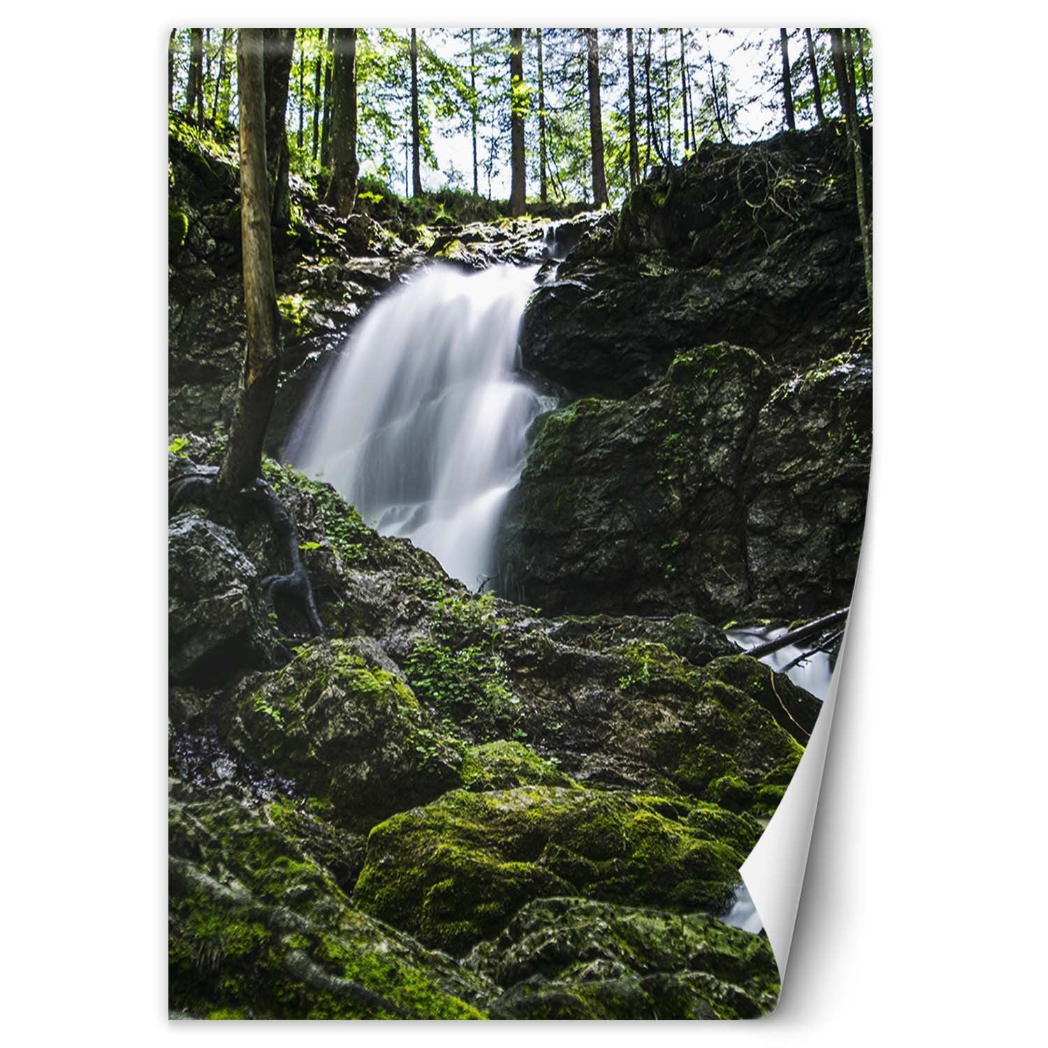 Fototapeta, Wodospad w lesie 200x280