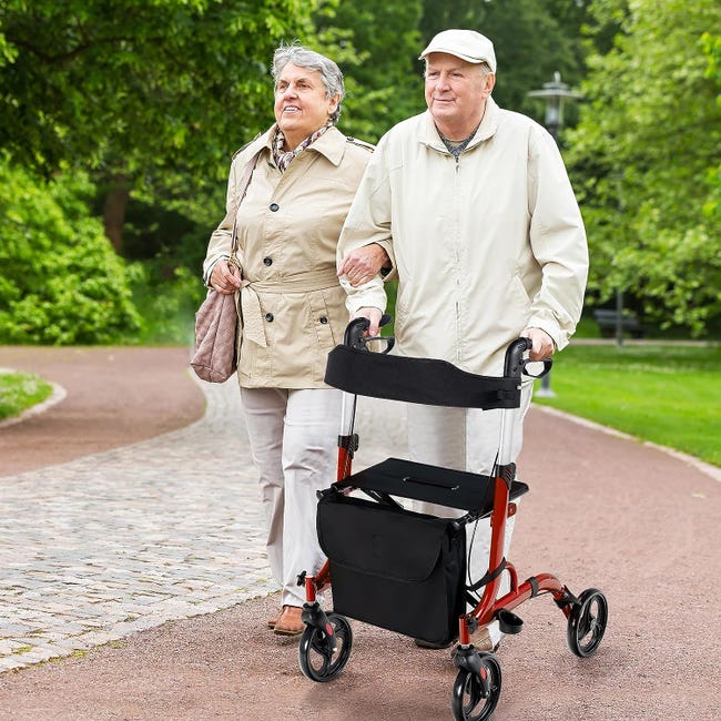 Rollator Pieghevole a due ruote Rollator Pieghevole a due ruote