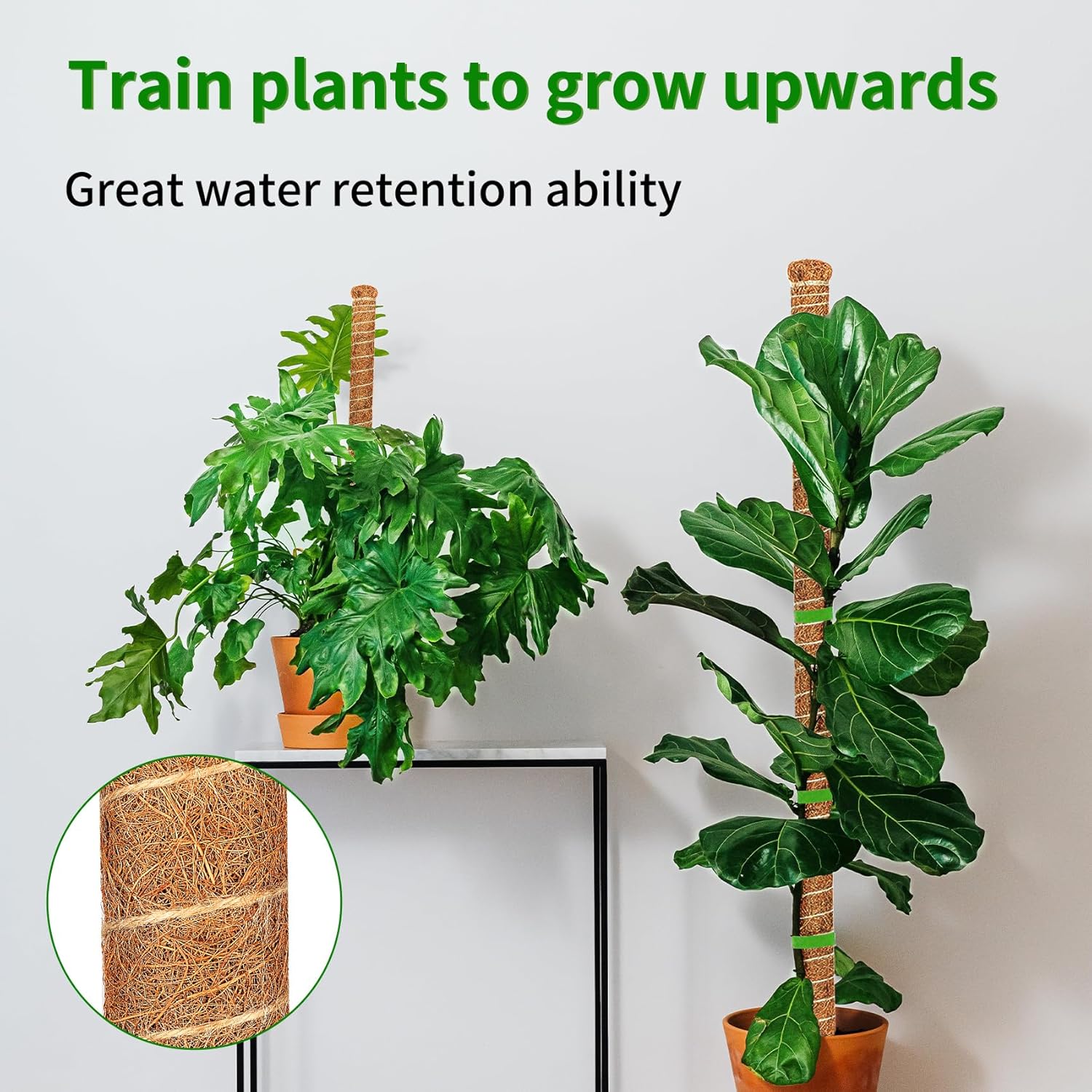 Lot de 2 tuteurs de mousse flexibles de 70 cm, supports pour plantes grimpantes d'intérieur (monstera, pothos, philodendron), pour pots et jardin - 4