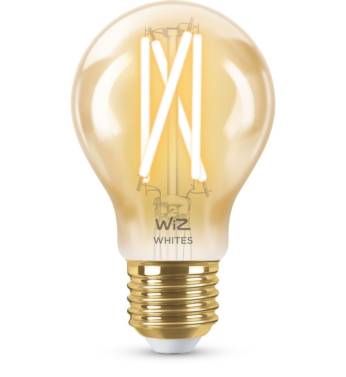 Lampada Riscaldante Rettili 50W E27 - Lampadina A Infrarossi Notturna Dimmerabile Per Terrario