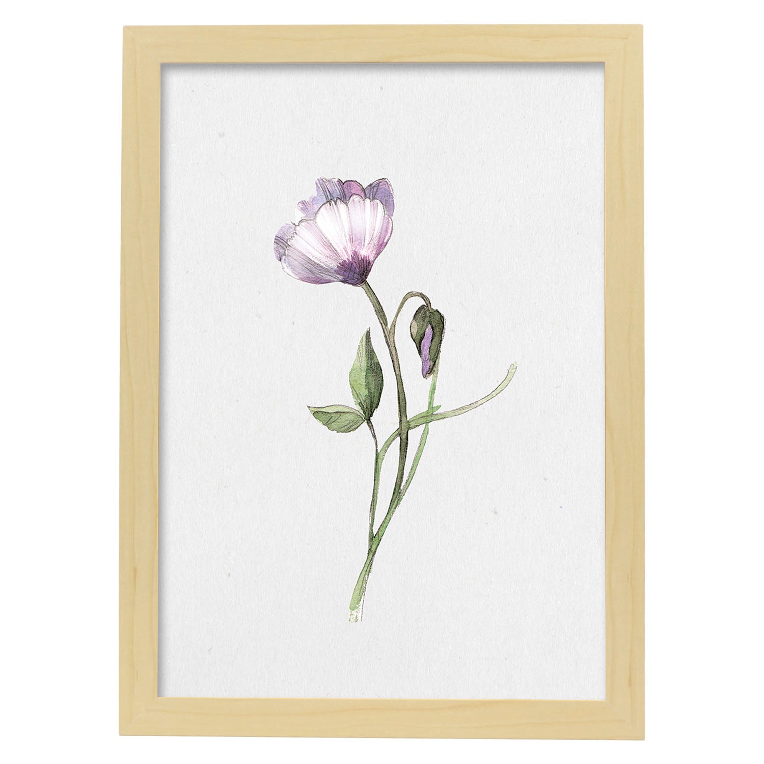 Poster de flores y plantas. lamina con estilo oleo, con imagenes de vegetacion, florales, y de plantas. marco blanco - a3