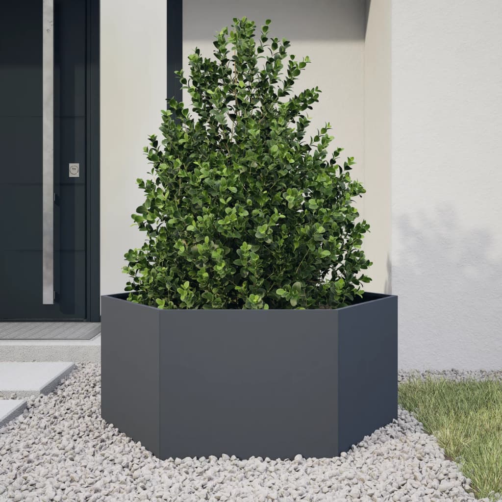 vidaXL Jardinière anthracite hexagone 104x90x45 cm acier - 2